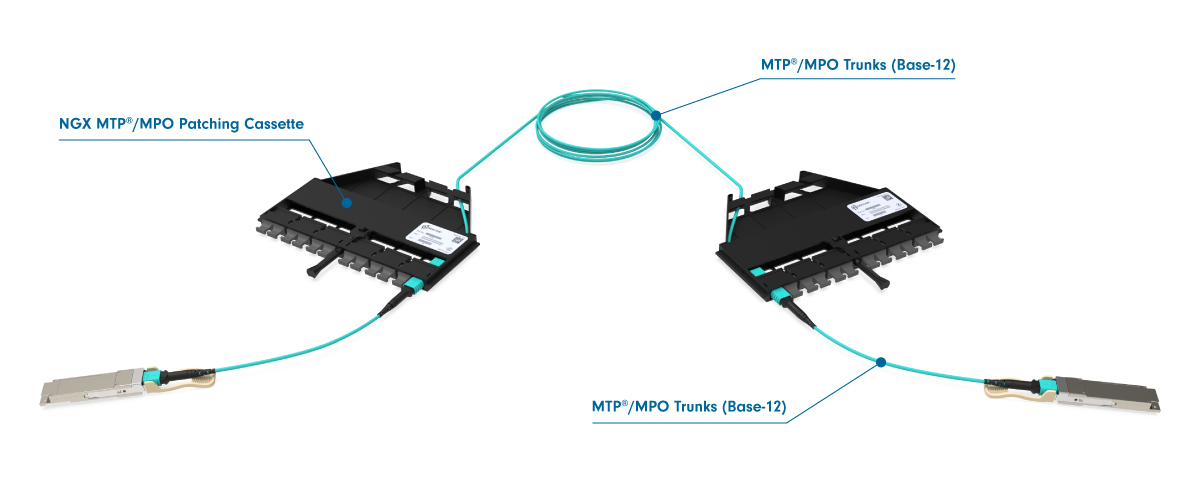 3 link NGX networks