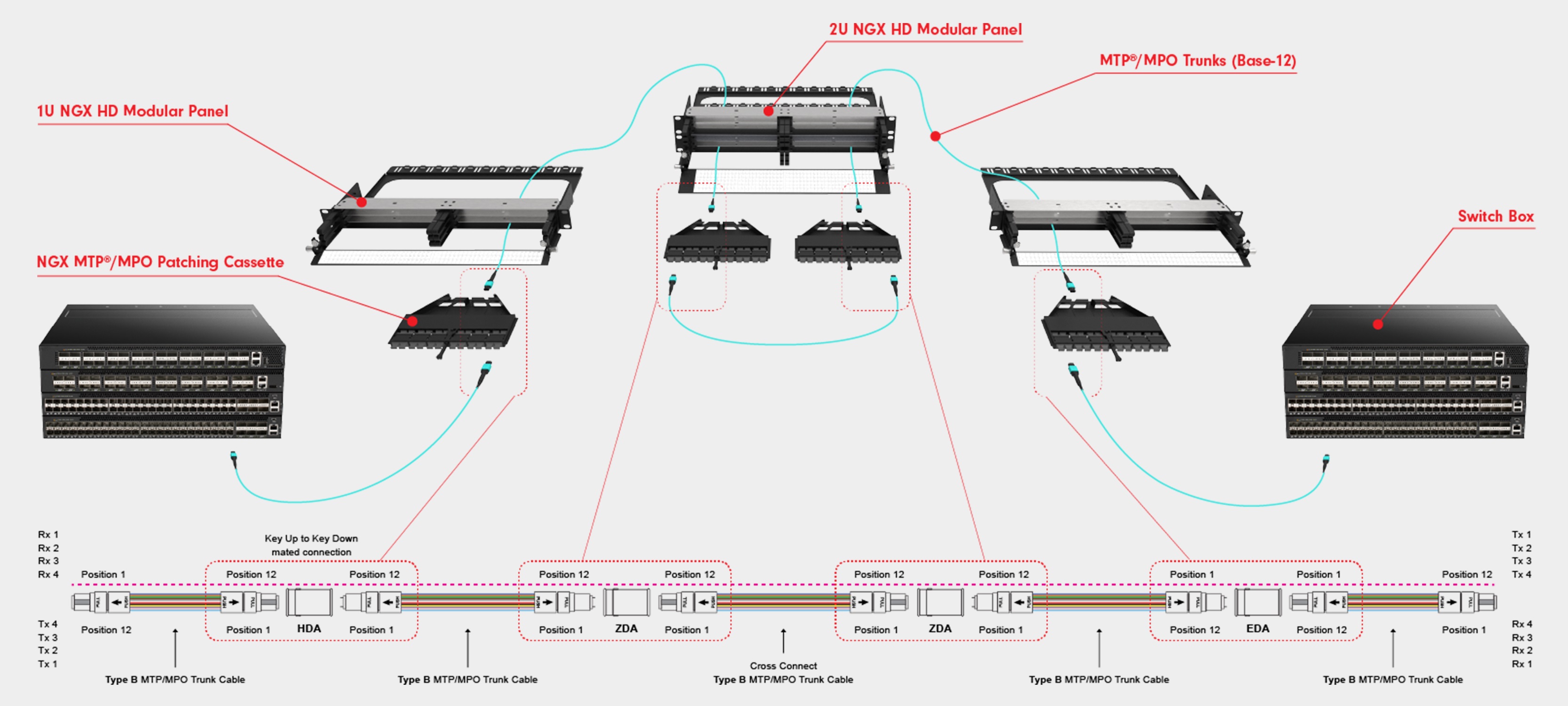 40G to 100G MPO-MPO Networks