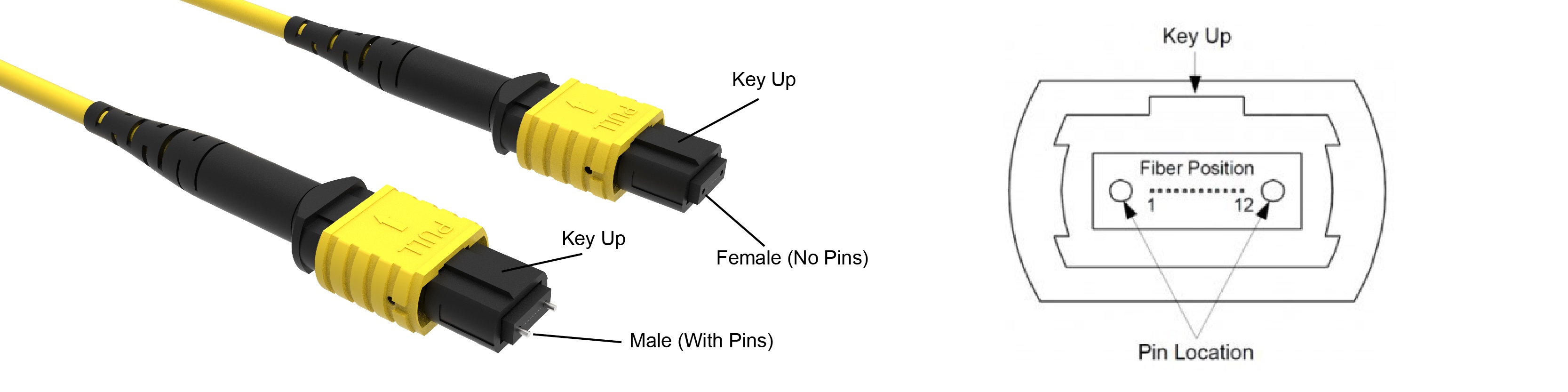 Structure of the MTP/MPO Connector