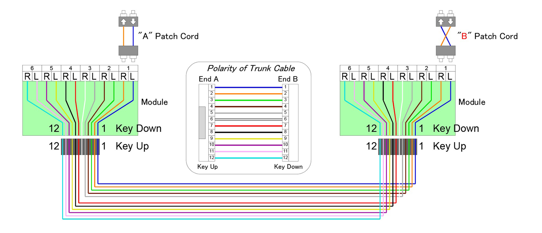 Polarity Method-A