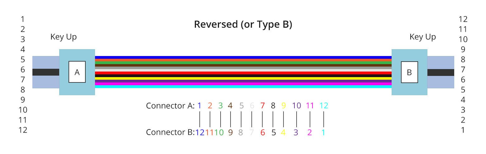 Type B (Reversed)