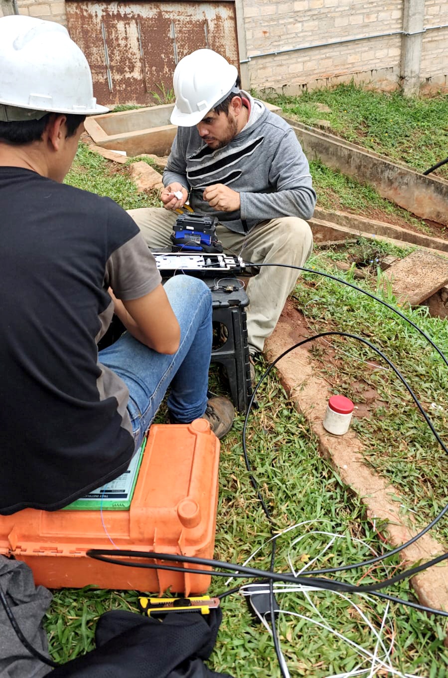 Network Training