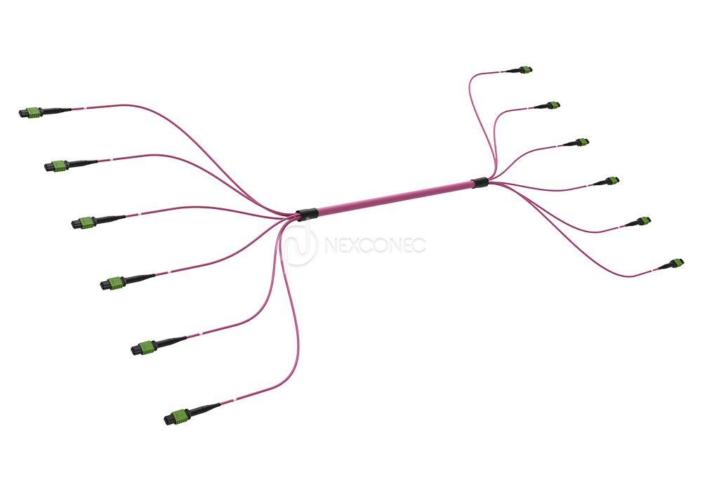 MPO (APC) MM OM4 Trunks